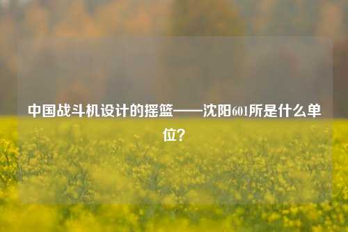 中国战斗机设计的摇篮——沈阳601所是什么单位？