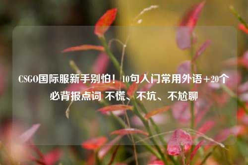CSGO国际服新手别怕！10句入门常用外语+20个必背报点词 不慌、不坑、不尬聊