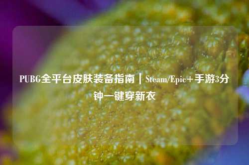 PUBG全平台皮肤装备指南｜Steam/Epic+手游3分钟一键穿新衣