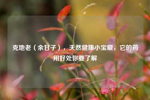 克地老（余甘子），天然健康小宝藏，它的药用好处你要了解