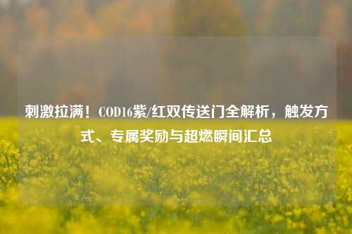      拉满！COD16紫/红双传送门全解析，触发方式、专属奖励与超燃瞬间汇总