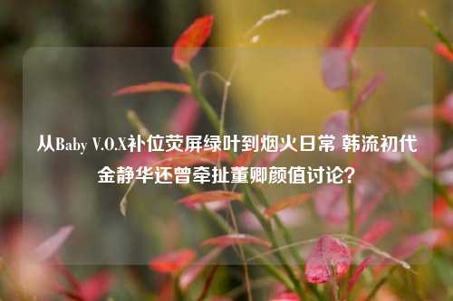 从Baby V.O.X补位荧屏绿叶到烟火日常 韩流初代金静华还曾牵扯董卿颜值讨论？