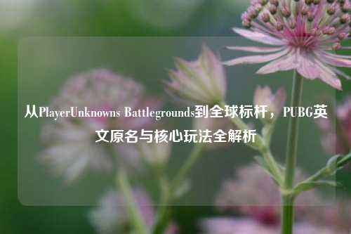 从PlayerUnknowns Battlegrounds到全球标杆，PUBG英文原名与核心玩法全解析