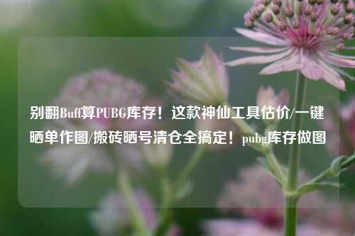 别翻Buff算PUBG库存！这款神仙工具估价/一键晒单作图/搬砖晒号清仓全搞定！pubg库存做图