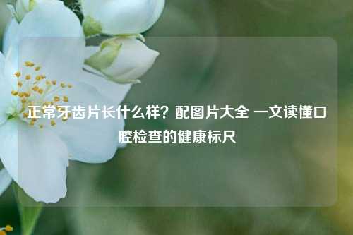 正常牙齿片长什么样？配图片大全 一文读懂口腔检查的健康标尺