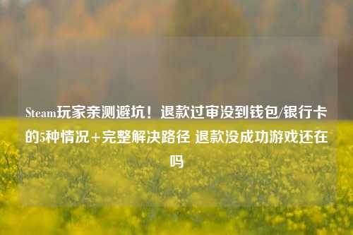 Steam玩家亲测避坑！退款过审没到钱包/银行卡的5种情况+完整解决路径 退款没成功游戏还在吗