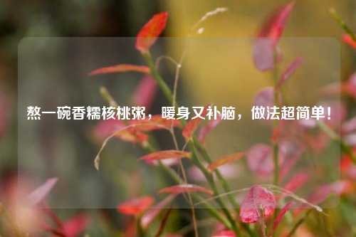 熬一碗香糯核桃粥，暖身又补脑，做法超简单！