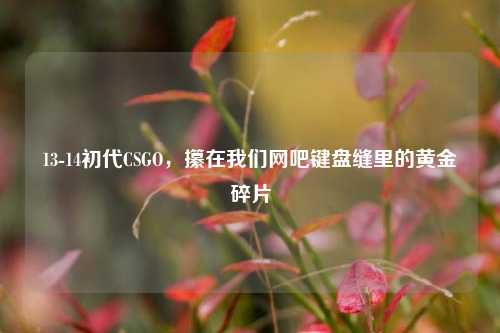 13-14初代CSGO，攥在我们网吧键盘缝里的黄金碎片