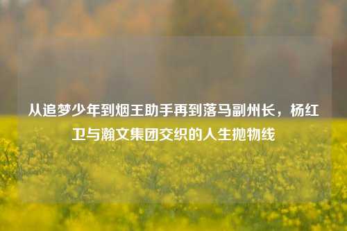 从追梦少年到烟王助手再到落马副州长，杨红卫与瀚文集团交织的人生抛物线