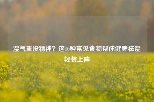 湿气重没精神？这10种常见食物帮你健脾祛湿轻装上阵