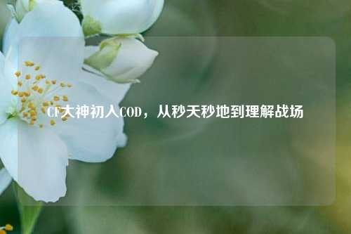 CF大神初入COD，从秒天秒地到理解战场