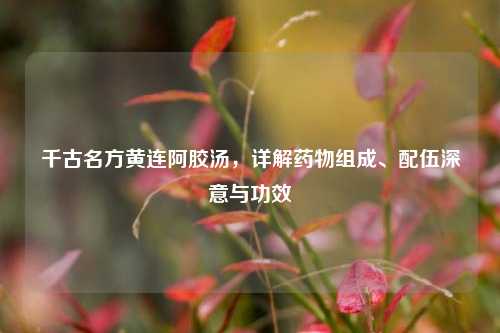 千古名方黄连阿胶汤，详解药物组成、配伍深意与功效