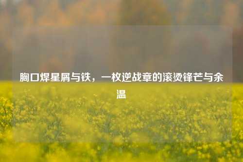 胸口焊星屑与铁，一枚逆战章的滚烫锋芒与余温