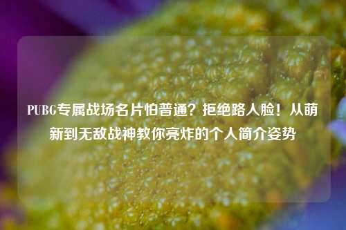 PUBG专属战场名片怕普通?拒绝路人脸!从萌新到无敌战神教你亮炸的个人简介姿势