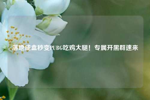 落地成盒秒变PUBG吃鸡大腿!专属开黑群速来