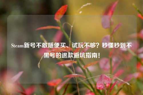 Steam新号不敢随便买、试玩不够?秒懂秒到不黑号的退款避坑指南!