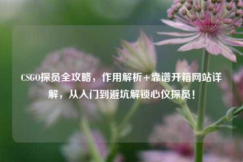 CSGO探员全攻略,作用解析+靠谱开箱网站详解,从入门到避坑解锁心仪探员!