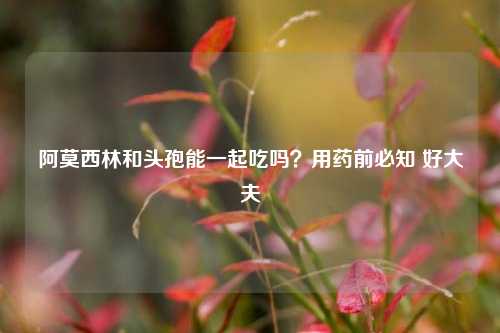阿莫西林和头孢能一起吃吗?用药前必知 好大夫