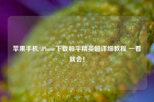 苹果手机/iPhone下载和平精英超详细教程 一看就会!