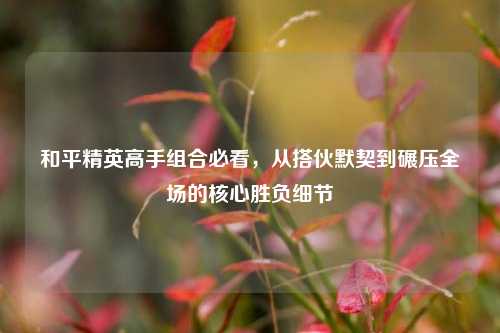 和平精英高手组合必看,从搭伙默契到碾压全场的核心胜负细节