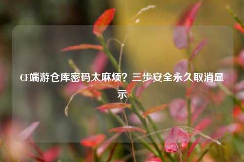 CF端游仓库密码太麻烦？三步安全永久取消显示