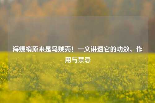 海螵蛸原来是乌贼壳!一文讲透它的功效、作用与禁忌