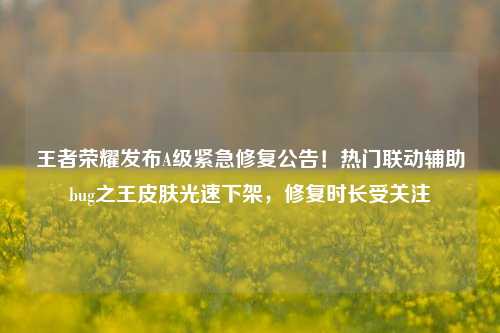 王者荣耀发布A级紧急修复公告!热门联动辅助bug之王皮肤光速下架,修复时长受关注