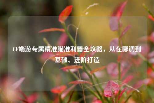 CF端游专属精准瞄准利器全攻略，从在哪调到基础、进阶打造