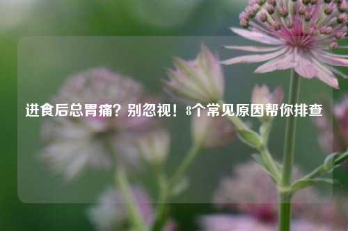 进食后总胃痛?别忽视!8个常见原因帮你排查