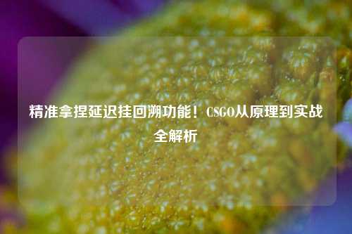 精准拿捏延迟挂回溯功能!CSGO从原理到实战全解析