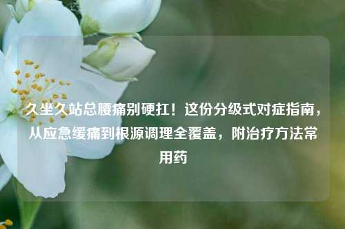 久坐久站总腰痛别硬扛!这份分级式对症指南,从应急缓痛到根源调理全覆盖,附治疗方法常用药