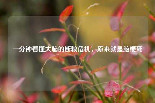一分钟看懂大脑的断粮危机,原来就是脑梗死