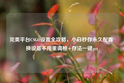完美平台CSGO设置全攻略，小白秒存永久配置 换设备不用重调枪+存法一键get