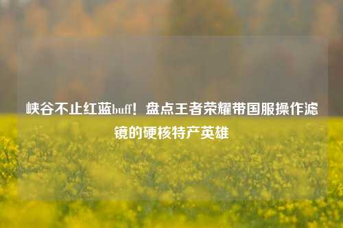 峡谷不止红蓝buff!盘点王者荣耀带国服操作滤镜的硬核特产英雄
