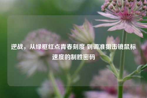 逆战,从绿框红点青春刻度 到调准狙击镜鼠标速度的制胜密码