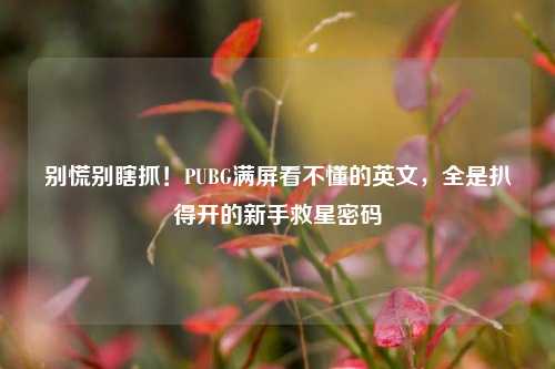别慌别瞎抓!PUBG满屏看不懂的英文,全是扒得开的新手救星密码