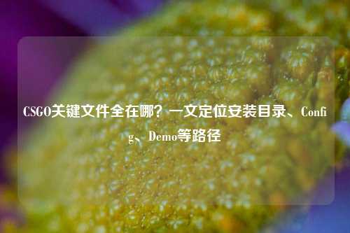 CSGO关键文件全在哪?一文定位安装目录、Config、Demo等路径