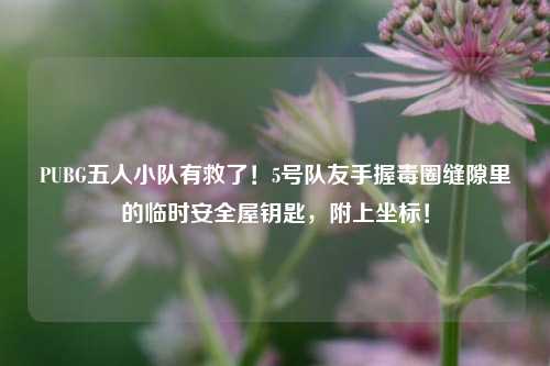 PUBG五人小队有救了!5号队友手握毒圈缝隙里的临时安全屋钥匙,附上坐标!