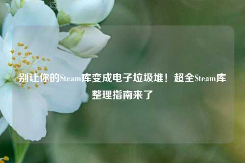 别让你的Steam库变成电子垃圾堆!超全Steam库整理指南来了