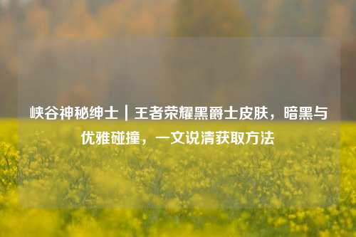 峡谷神秘绅士|王者荣耀黑爵士皮肤,暗黑与优雅碰撞,一文说清获取方法