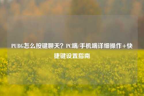 PUBG怎么按键聊天?PC端/手机端详细操作+快捷键设置指南
