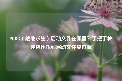 PUBG(绝地求生)启动文件在哪里?手把手教你快速找到启动文件夹位置
