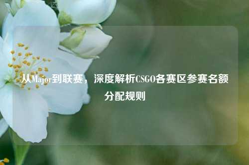 从Major到联赛,深度解析CSGO各赛区参赛名额分配规则
