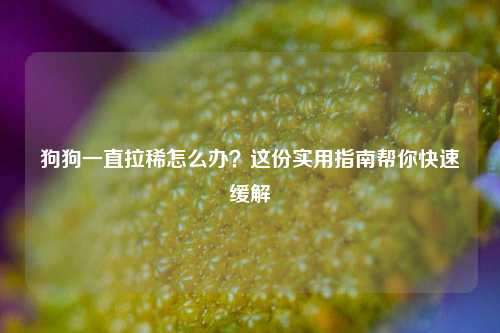狗狗一直拉稀怎么办?这份实用指南帮你快速缓解