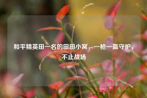 和平精英田一名的田田小窝,一枪一盔守护,不止战场