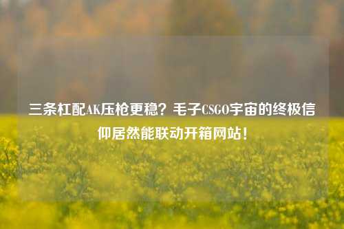 三条杠配AK压枪更稳?毛子CSGO宇宙的终极信仰居然能联动开箱网站!