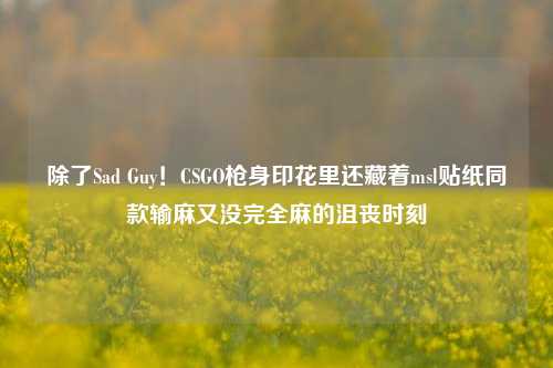 除了Sad Guy!CSGO枪身印花里还藏着msl贴纸同款输麻又没完全麻的沮丧时刻