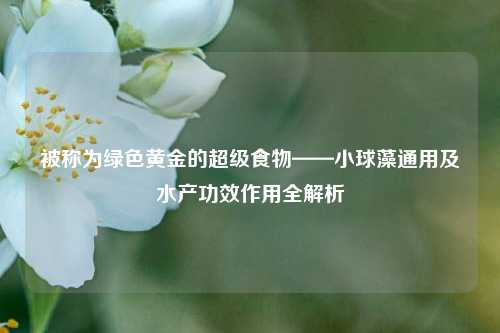 被称为绿色黄金的超级食物——小球藻通用及水产功效作用全解析