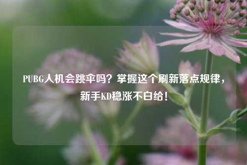 PUBG人机会跳伞吗？掌握这个刷新落点规律，新手KD稳涨不白给！