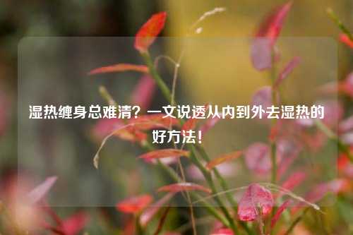 湿热缠身总难清?一文说透从内到外去湿热的好方法!